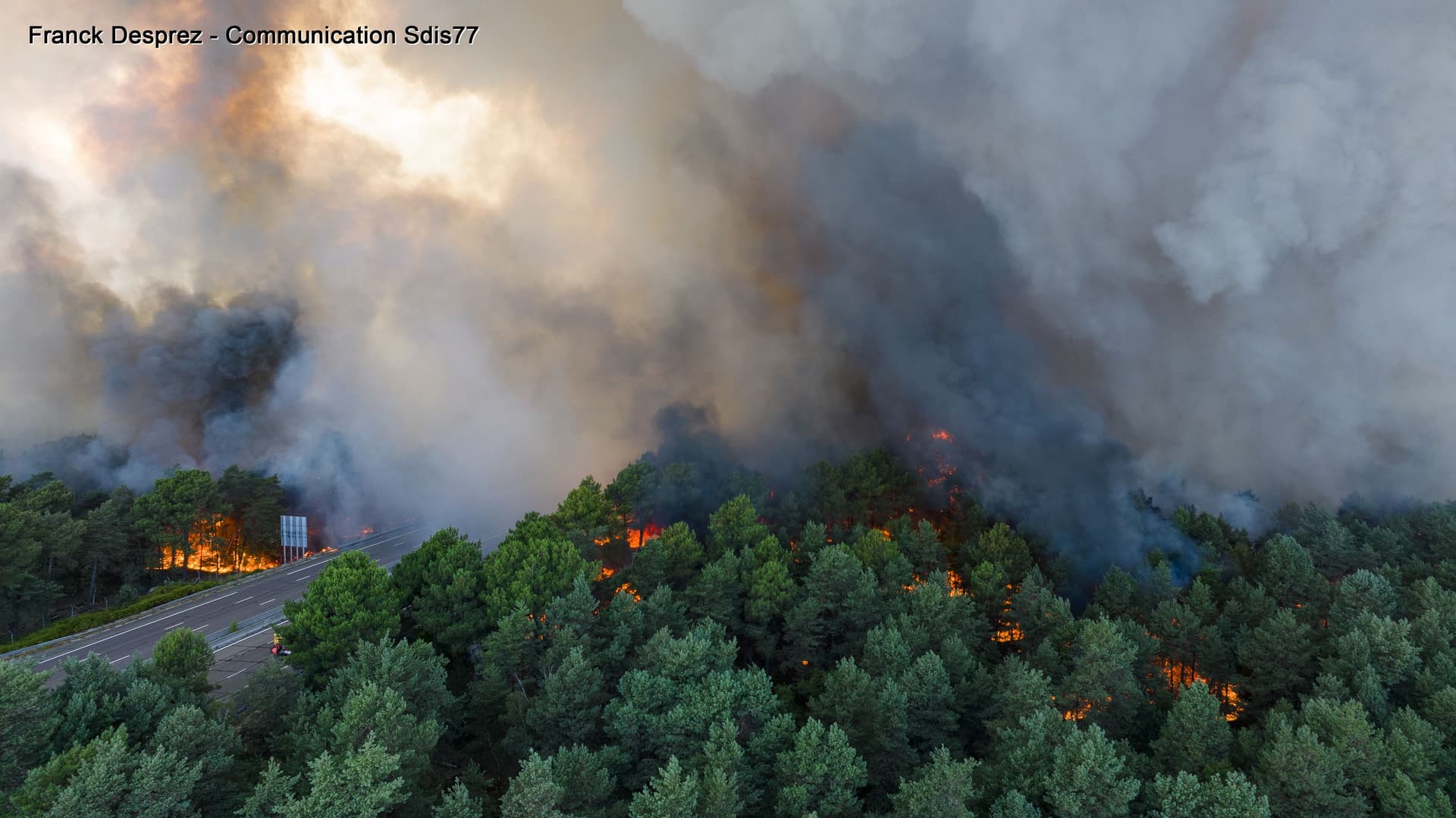 Sauvons la forêt de Fontainebleau !